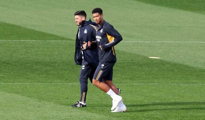 在高水平的 在高水平的